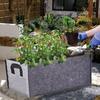 Bolsas de Cultivo de Plantas de Tecido Respirável Versátil Recipiente Com Alças de Transporte Ideal Para Mudas de Vegetais E Vasos de Flores