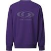 Salomon Round Neck Long Sleeve Pullover Sweatshirt Women sweatshirt Purple LC2572900