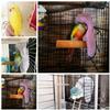 Warm Bird Hammock Shawl Nest Corner Parrot Blanket Windproof Pet Small Animal Hamster Hanging Tent Bird Cages Decoration