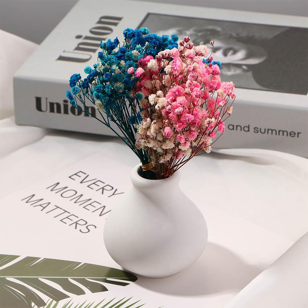 DIY Small Natural Photo Backdrop Pressed Gypsophila Babysbreath Bouquet Dry Flower Dried Flowers