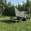 Car Canopy Olive Green 308 X 215 X 220 Cm Polyester and Steel