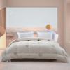 Shuixing Jiafang DH Formaldehyde Purification Soybean Fiber Quilt 200x230cm