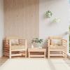 VidaXL Garden Chairs 2 Pcs, Seats with Armrest, Armchairs with Backrest, Outdoor Patio Terrace Furniture, Wood 825625