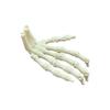 3D Printed Skeleton Hand Pendant Halloween Series Creative Hand Model Gift Crafts