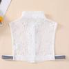 Ladies Lace Fake Collar Versatile Stand up Collar Fake Collar Semi Transparent Breathable Decoration Detachable Fake Collar