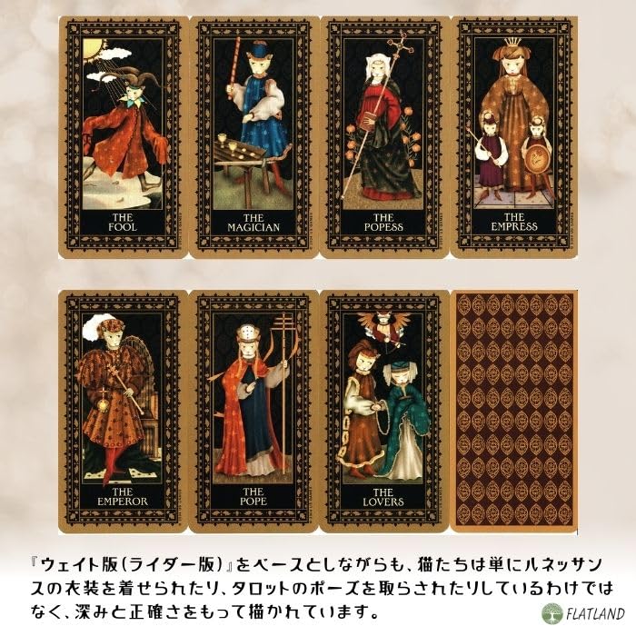 Medieval Cat Tarot, Tarot Reading Instructions, Japanese Instruction Manual Included, Authentic Tarot Cards, 78 Cards, Cute Cats