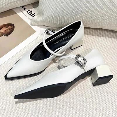Spring Style Pointed Toe Versatile Style Single Shoes Square Heel Women's Shoes Medium Professional Dress French High Heels