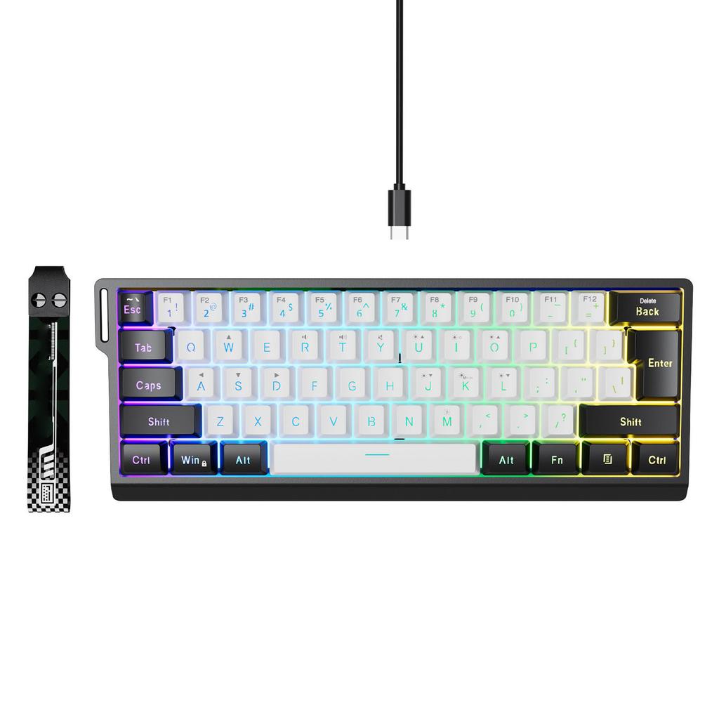 Wired Keyboard 60 Percent 61 Keys RGB Backlit Mechanical Feel Portable Computer Keyboard for Gaming Work