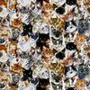 Royal Samt Stoff Polyester Zum Nähen - Motiv Gemalte Katzen