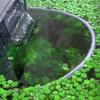 Aquarium Floating Plant Corral Floating Plant Fence Aquatic Plant Guard Aquarium Floating Plant Barrier Fish Tank Accessory