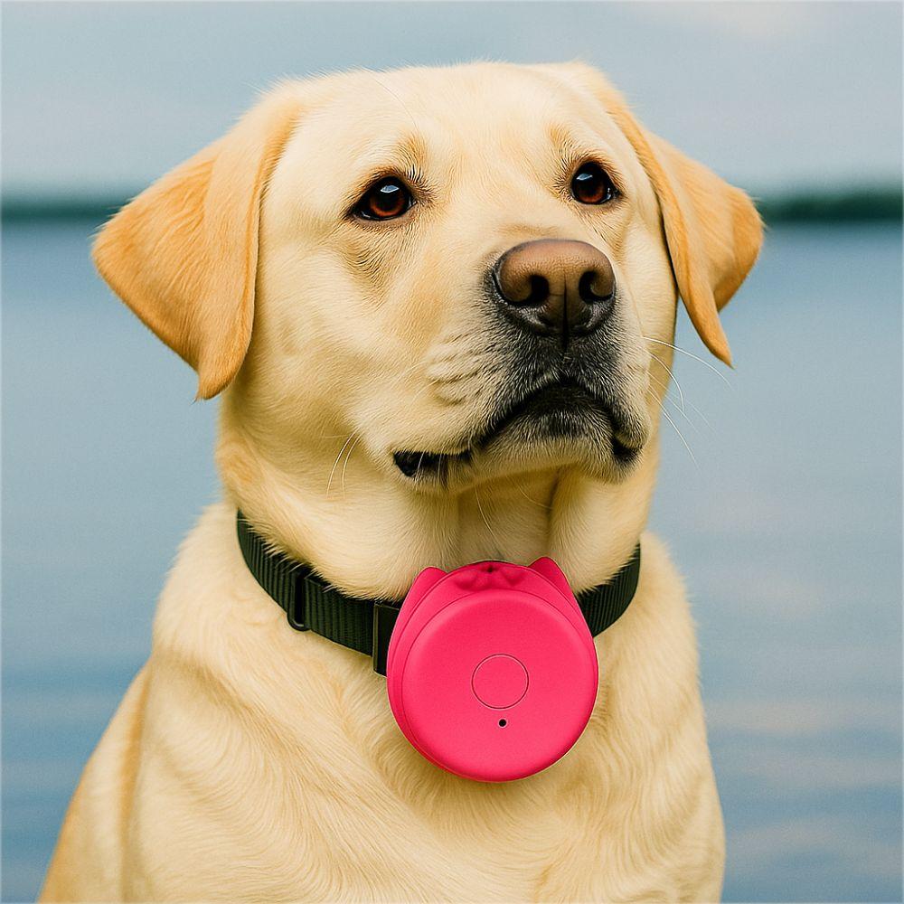 Anti-lost Mini GPS Tracker Wireless Alarm GPS Locator Portable Smart Tracker  for Car Wallet Key