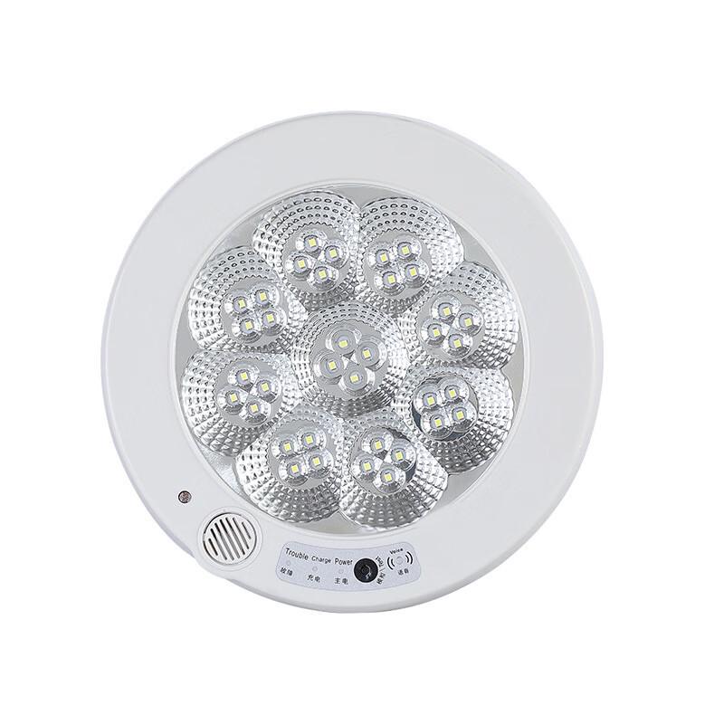 Licheng LED Human Body Induction Emergency Ceiling Light