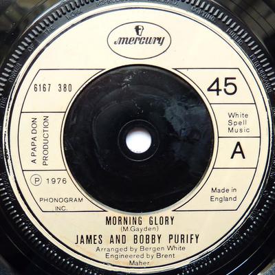 Disco de 7 polegadas JAMES & BOBBY PURIFY - Morning Glory 6167380 Mercury 1976 Reino Unido Soul/Funk Usado