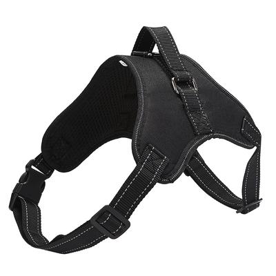 Perros – Collares y correas
