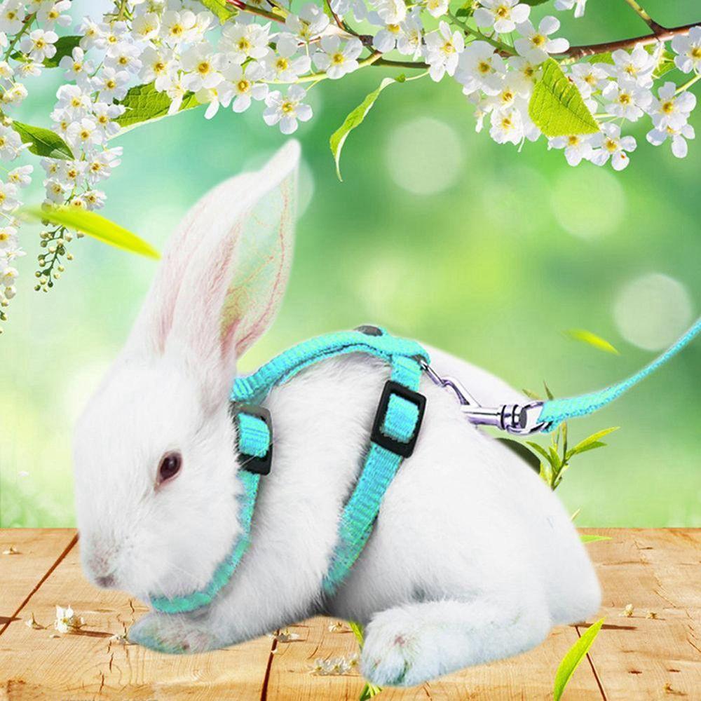 

Walking Harness Belt Guinea Pig Small Pet Leads Bunny Leads Pet Traction Rabbit Harness Leash