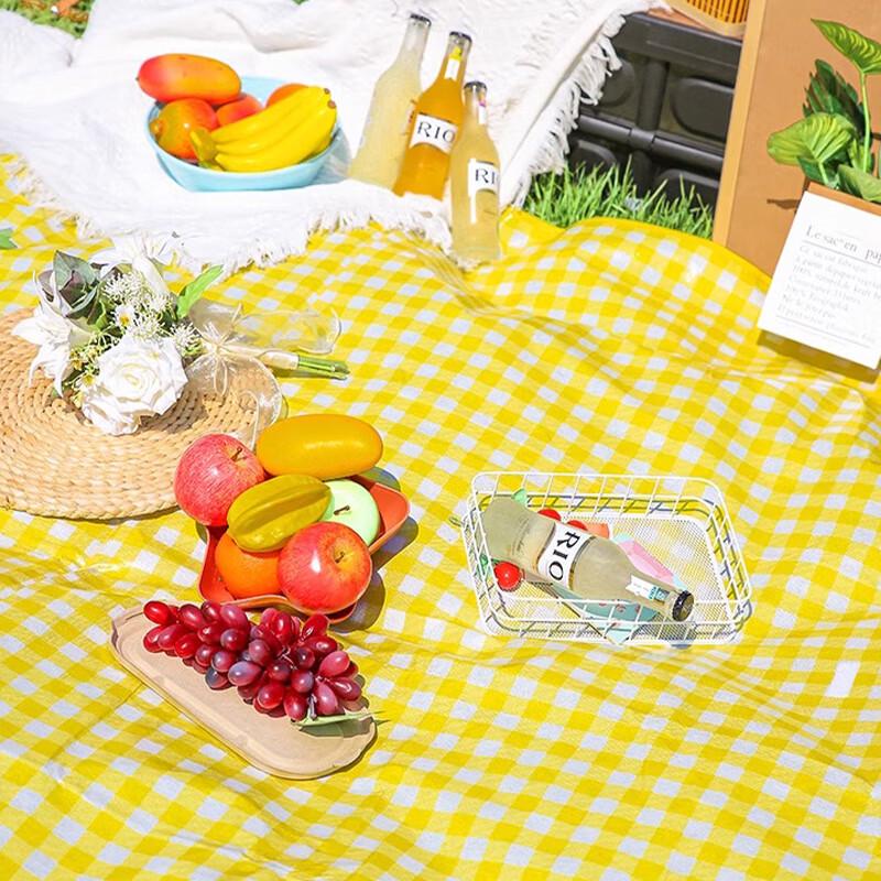 Outdoor Waterproof Picnic Blanket
