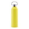 Stainless Steel Water Bottle with Handle Lid, Double Wall Vacuum Insulated Bottle for Sports Hiking Gym