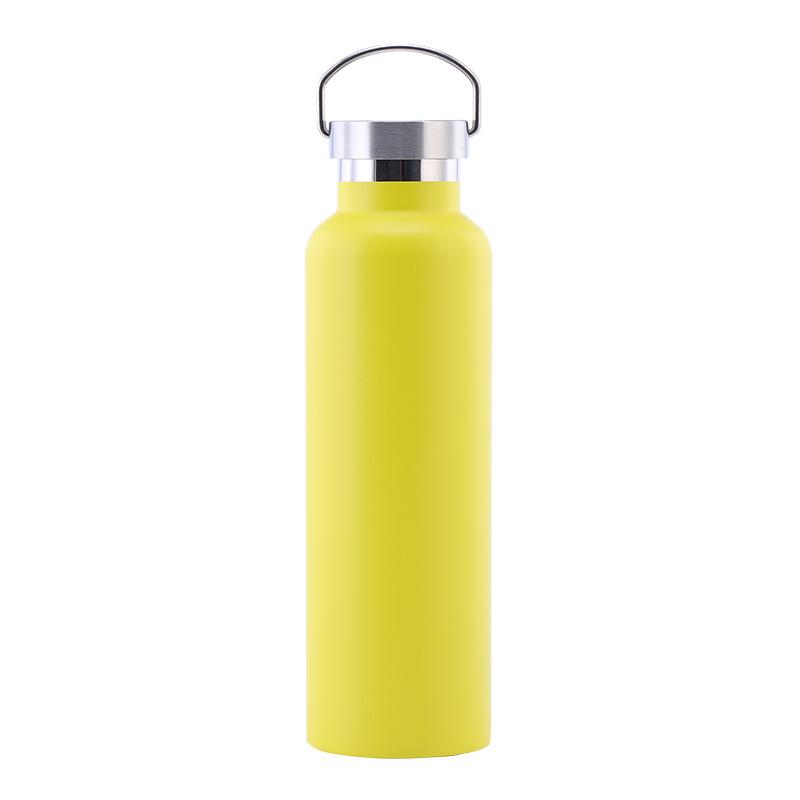 Stainless Steel Water Bottle with Handle Lid, Double Wall Vacuum Insulated Bottle for Sports Hiking Gym