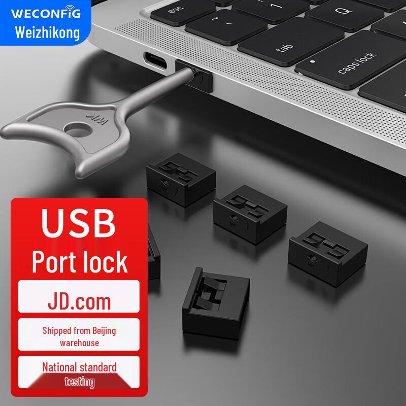 Enterprise USB Port Security Lock & Dust Plug Kit