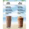True Elements Dark Choco Oats Shake 360 G – Clean Protein & Fibre Drink Mix