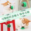 Kedi – Kedi Oyuncakları