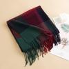 New British Style Imitation Cashmere Tassel Scarf for Girls High End Cold Proof and Warm Scarf