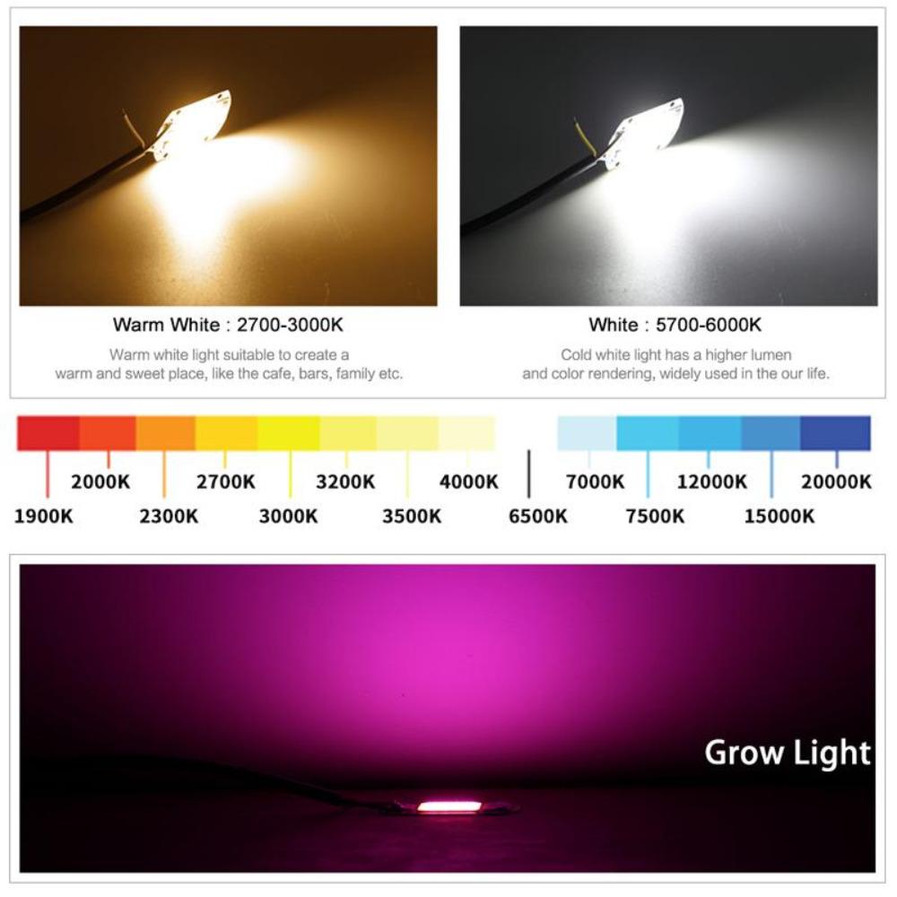 2Pcs 220V LED Chip 20W 30W 50W COB Chip No Need Driver LED Lamp Beads for Flood Light Spotlight Lampada DIY Lighting