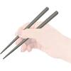 Skater Chopsticks 21cm & Chopstick Case Set, Antibacterial, Charcoal Gray, for Adults/Men, ABC45AG-A
