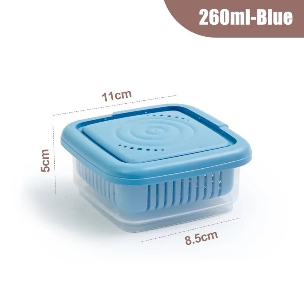 

Multi-purpose Thickened Scallion Box Transparent Double-layer Fruits Storage Box Food Drain Crisper Organizer