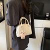 Summer premium texture shoulder crossbody pillow bag new bag women's versatile new small bag