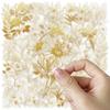 50pcs Graffiti Transparent Stickers, Golden Plants DIY Decor for Journals, Guitars, Notebooks, Luggage, Laptops, Motorcycles, Skateboards