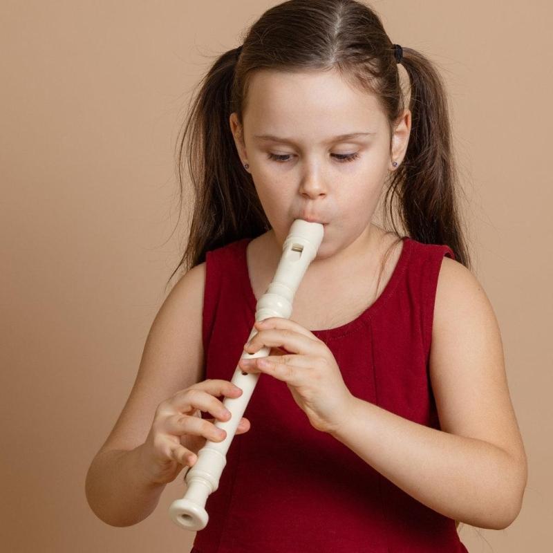 8 Hole Beginner Treble Flute Soprano Recorder Clarinet Professional Soprano Recorder Musical Instrument for Beginner