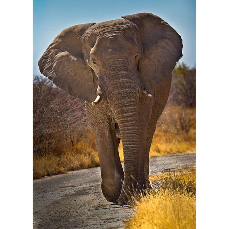 DIY Elephant 5D Diamond Painting Full Round Drill Diamond Embroidery Animals Mosaic Rhinestone Kits Wall Art Home Decor Gift