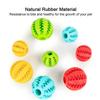 Pet Dog Toy Interactive Rubber Balls for Small Large Dogs Puppy Cat Chewing Toys Pet Tooth Cleaning Indestructible Dog Food Ball