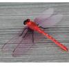 10 Pcs/lot Dragonfly Garden Decorative Yard Planter Colorful Dragonfly Stakes Decoracion Outdoor Decor Flower Pots Decoration