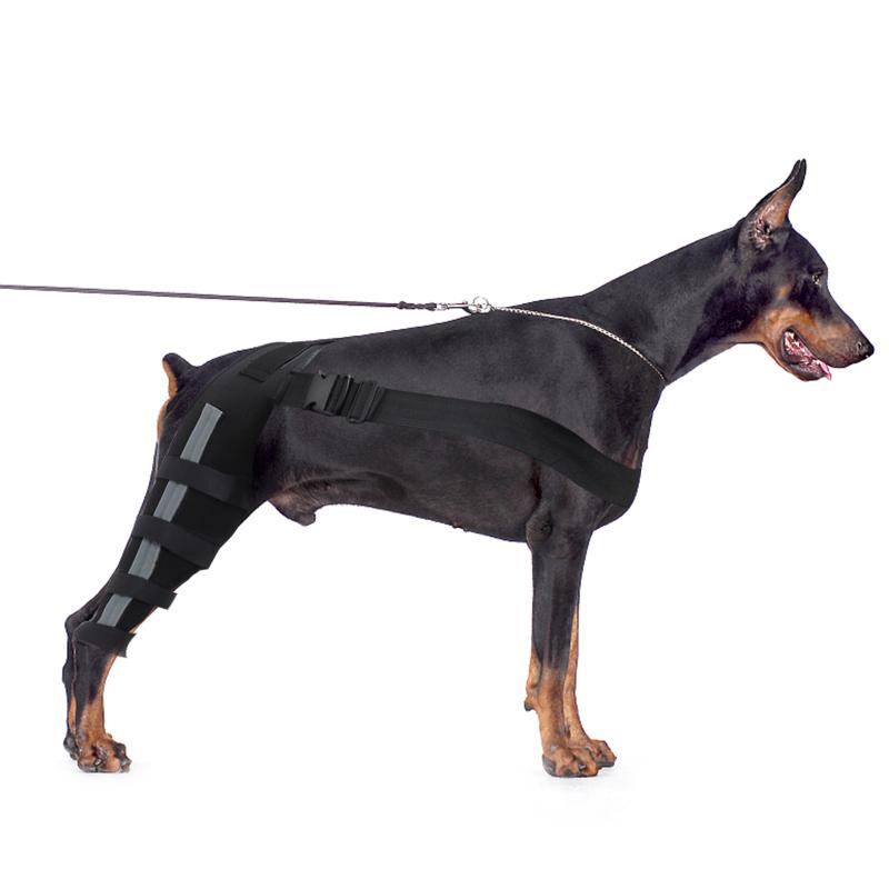 Pet Dog Knee Brace Adjustable Size Reflective Design Elastic Shoulder Strap Hind Legs Protective