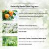 Lux Freesia & Tea Tree Body Wash 4-Pack