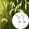 Solar Powered Solar Powered Light LED Light Fiber Optic Dog Tail Grass Lamp Waterproof Ground Plug Outdoor Light Country House