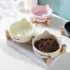 Changshen Ceramic Pet Food & Water Bowls