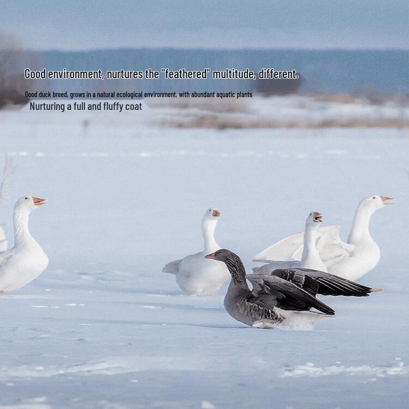 Mercury Home Textiles White Duck Down Winter Duvet