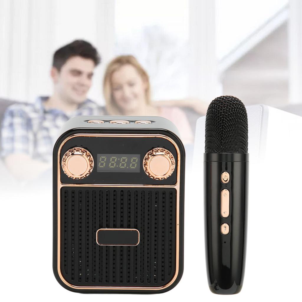 Karaoke Machine HiFi Stereo Sound Portable Speaker with Microphone for Kids Gifts