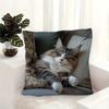 1pc Vintage-style Norwegian Forest Cat Pillowcase with Zipper - Single-Sided Print, Machine Washable, Suitable for Sofa, Bed, Car, and Living Room Dec
