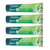 Active Fresh Multi Action Gel Toothpaste 80G Pack Of 4 Herbal Oral Care For Fresh Breath Gum Health Daily Use