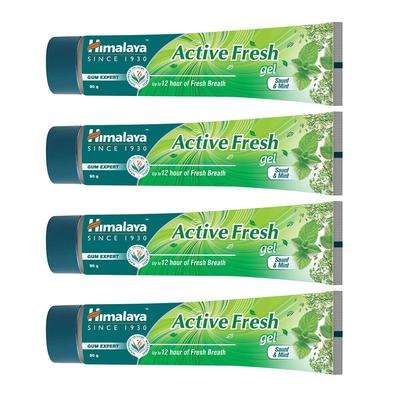 Active Fresh Multi Action Gel Toothpaste 80G Pack Of 4 Herbal Oral Care For Fresh Breath Gum Health Daily Use