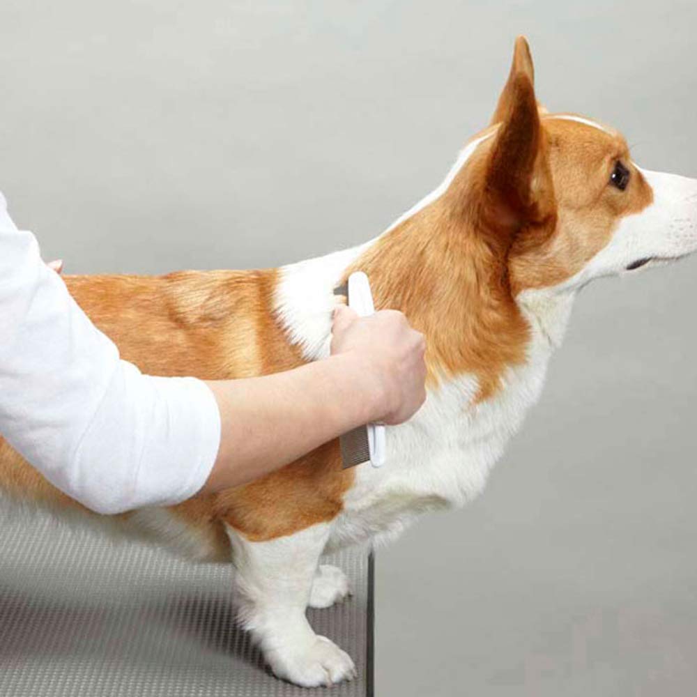 Doggyman NHS Free Comb &