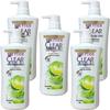 CLEAR Anti-Dandruff Oil Control Refreshing Shampoo, 700g X 5 Pack