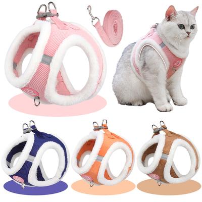 Perros – Collares y correas