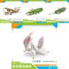 Insect Beautifully Crafted Models Including Leaf Insects Orchid Mantis And Dead Leaf Mantis For Decoration