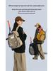 Unisex Sports Backpack: Tennis & Badminton Bag with Dry/Wet Separation, Large Capacity, and Independent Shoe Compartment.