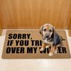 Non- Door Mat, Indoor And Outdoor Carpet, Home Welcome Mat